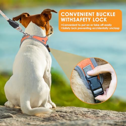 Dog Harness and Leash Set, No Pull Saddle Style Pet Harness, Breathable Mesh - Image 5