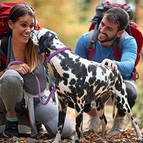Fida Durable Slip Lead Dog Leash, 6 FT x 3/8" Dog Training Leash - Image 6