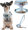 PUPTECK Small Dog Harness and Leash Set No Pull by PUPTECK