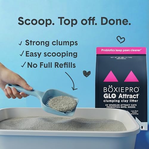 Boxie Glo Attract Clumping Cat Litter 40+ Day Odor Control Dust Free 16 lb - Image 5