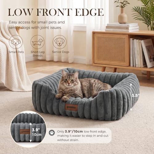 ZOMISIA Small Dog Bed, Cat Bed for Indoor Cats - Image 4