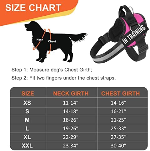 Essential Dog Harness, No Pull Pet Harness - Image 3