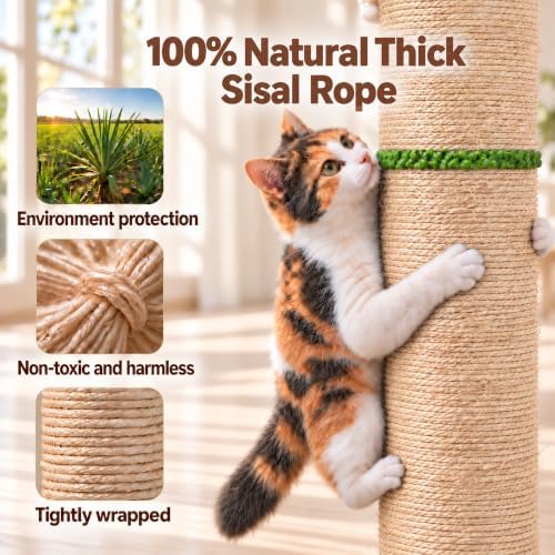 63in Tall Cat Scratching Post for Indoor Cats Large Adult - Image 3