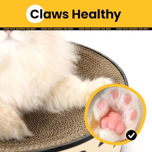 Conlun Oval Cat Scratcher Bed | Scratching Bowl Lounge - Image 4