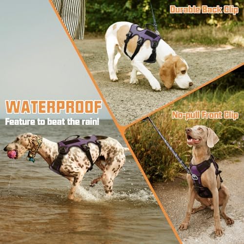 AUROTH Escape Proof No Pull Dog Harness - Image 4