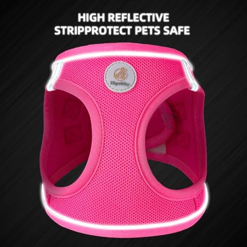 Hipubby Dog Harness and Leash Set, No Pull Soft Mesh Puppy Harness - Image 5