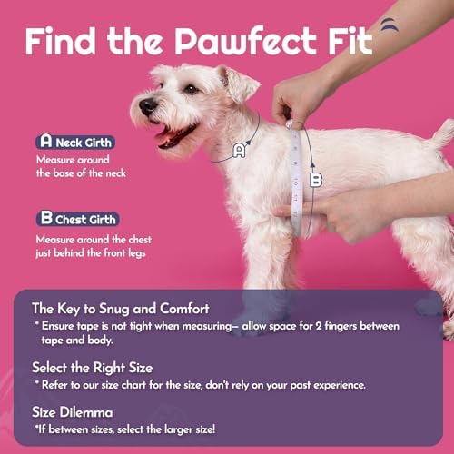 Eagloo Small Dog Harness and Leash Set, Step in Medium Small Puppy Pet Vest - Image 2