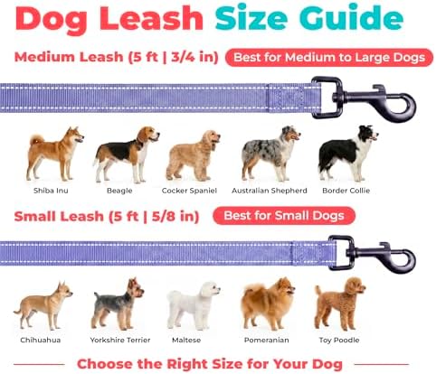 Best Pet Supplies Voyager Nylon Dog Leash - Image 6