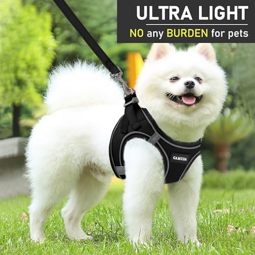 GAMUDA Small Dog Harness Collar and Leash Set, Step in No Chock No Pull Linen - Image 7