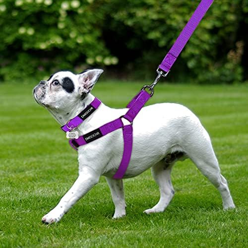 No Pull Dog Harness, Leash & Collar Set, Adjustable Step-in Vest - Image 6