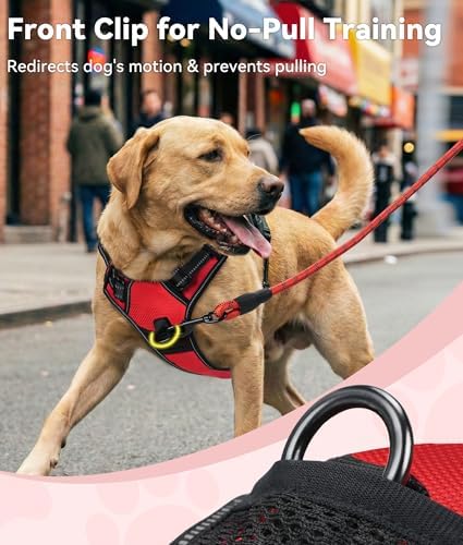 Joytale No Pull Dog Harness for Extra Large Dogs, Front Clip - Image 2