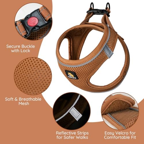BELLA & PAL Step in Puppy Harness and Leash Set - Image 2