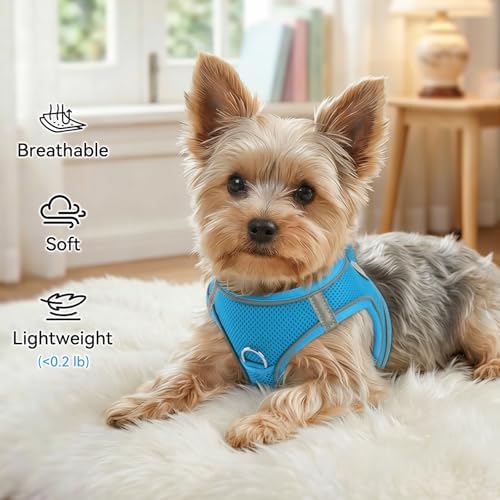 Joytale Step-in Dog Harness, Soft Breathable Mesh, Sky Blue M - Image 4