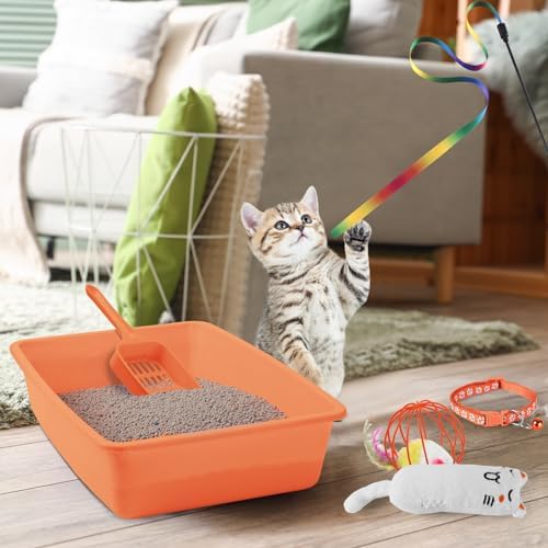 Tioncy 7 Pcs Kitten Litter Box Starter Kit - Image 6