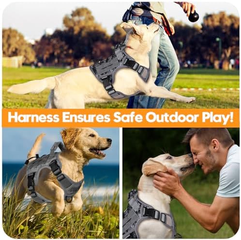 Heavy-Duty Tactical Dog Harness - Image 6