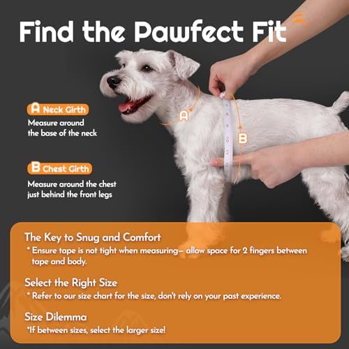 Eagloo Small Dog Harness and Leash Set, Step in Medium Small Puppy Pet Vest - Image 2