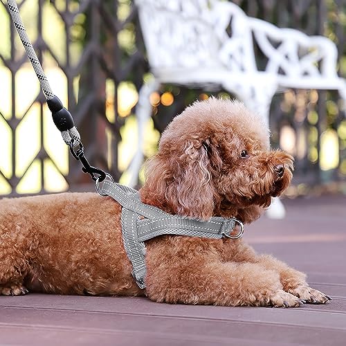 Plutus Pet No Pull Dog Harness for Small Dogs, Breathable Mesh Padded - Image 5