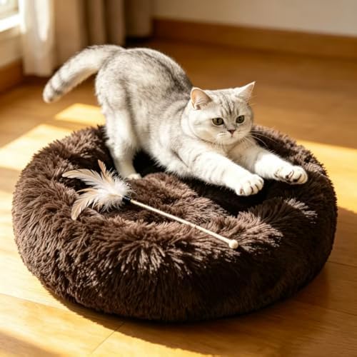Cat Beds for Indoor Cats by Unknown