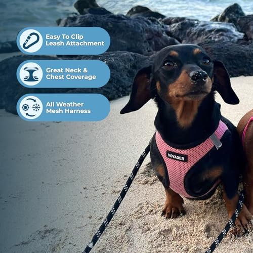 Voyager Step-in Air Dog Vest Harness - Image 2