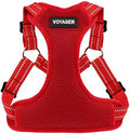 Voyager Step-in Flex Adjustable Dog Harness by BestPetSuppliesLLC