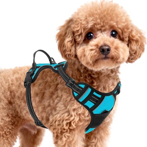 BARKBAY Dog Harness for Small Sized Dog No Pull 2 Leash Clips Dog Vest by BARKBAY