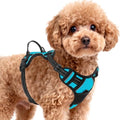 BARKBAY Dog Harness for Small Sized Dog No Pull 2 Leash Clips Dog Vest by BARKBAY