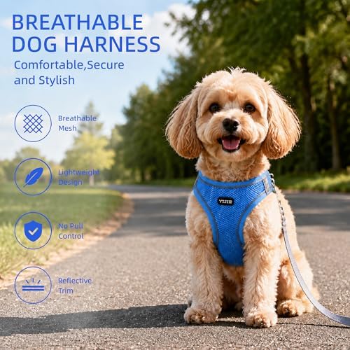 ROYPET Step-in Air Dog Harness, All Weather Mesh Step in Vest Harness - Image 3