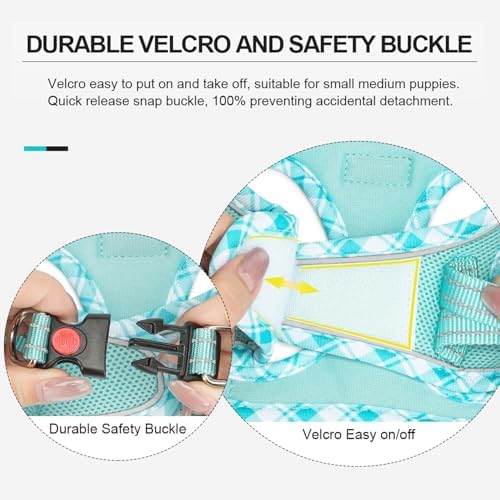 Mercano Soft Mesh Dog Harness and Leash Set, Step-in Reflective Breathable - Image 4