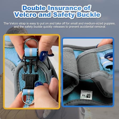 Dog Harness Medium Sized Dogs, Puppy Harness and Leash Set - Image 2