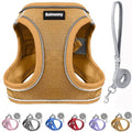 Solmoony Sparkly XS Dog Harness and Leash Set, Step in Soft Light Puppy Vest by SOLMOONY