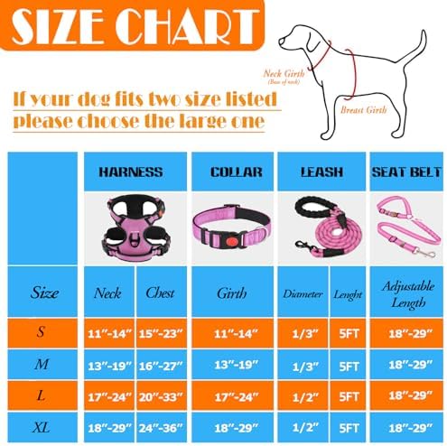 LOBEVE No Pull Dog Harness, Collar & Leash Set - Image 3