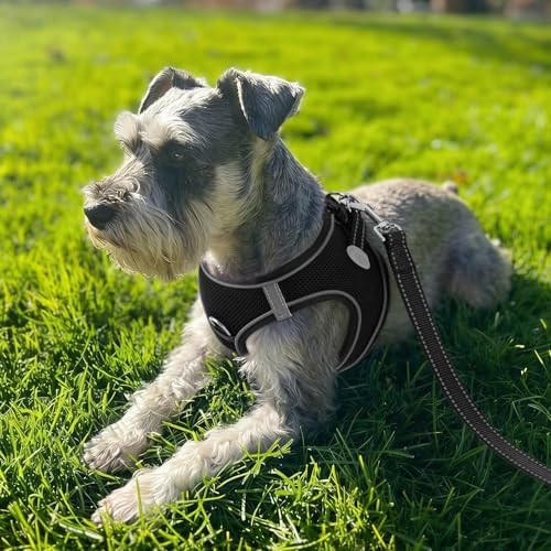 Joytale Step-in Dog Harness, Soft Breathable Mesh - Image 2
