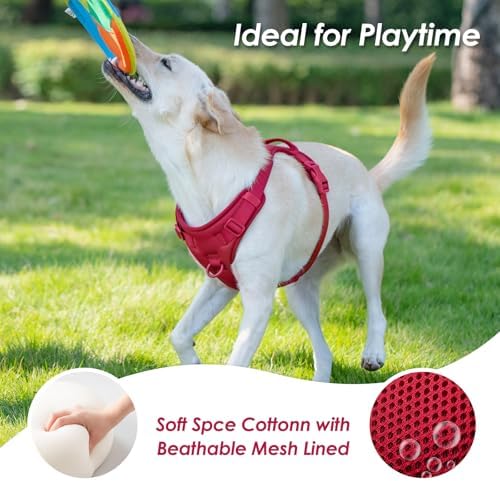 Sunraymascota No Pull Dog Harness - Image 5