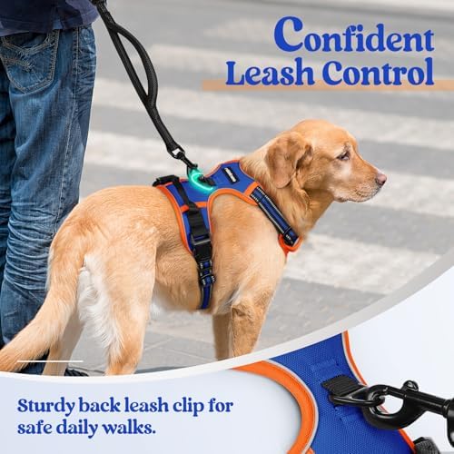 rabbitgoo Dog Harness, No Pull for Small Dogs - Image 6