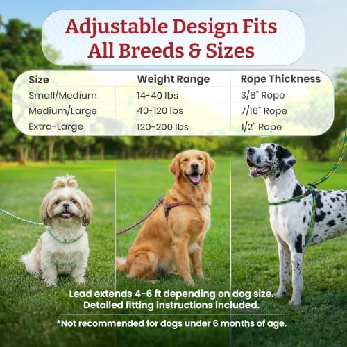 Harness Lead No Pull Dog Harness and Leash Set, Anti Pull Dog Harness - Image 6