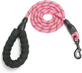 Dog Leash by Unknown