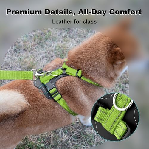 Plutus Pet No Pull Dog Harness - Image 2