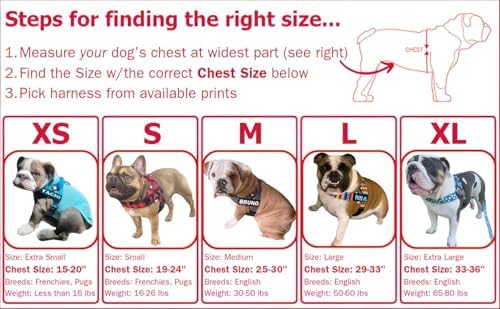 BULLHUG Adjustable Dog Harness– No Pull, No Choke – - Image 4