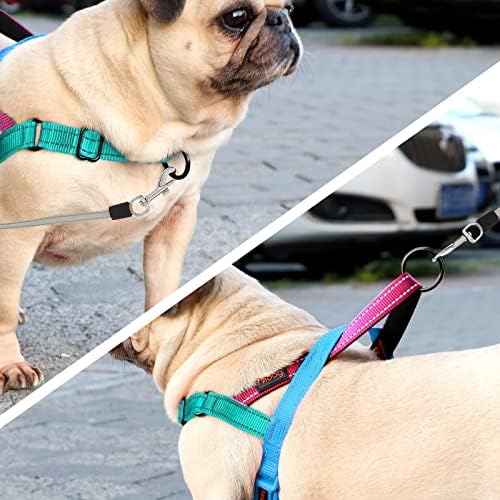 Didog No Pull Dog Harness for Small Dogs, Soft Padded Handle - Image 3