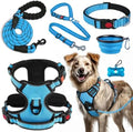 LOBEVE No Pull Dog Harness, Collar & Leash Set by Lovebegetslove