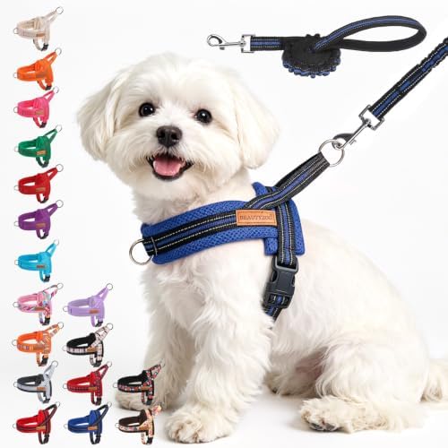 BEAUTYZOO Small Dog Harness and Leash Set, No Pull Step in Puppy Vest by BEAUTYZOO