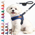 BEAUTYZOO Small Dog Harness and Leash Set, No Pull Step in Puppy Vest by BEAUTYZOO