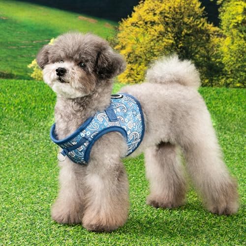 Puppia Cynthia Dog Vest Harness B Fashionable Paisley Pattern Spring Summer - Image 3