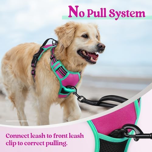 rabbitgoo Dog Harness, No Pull Medium Sized - Image 5