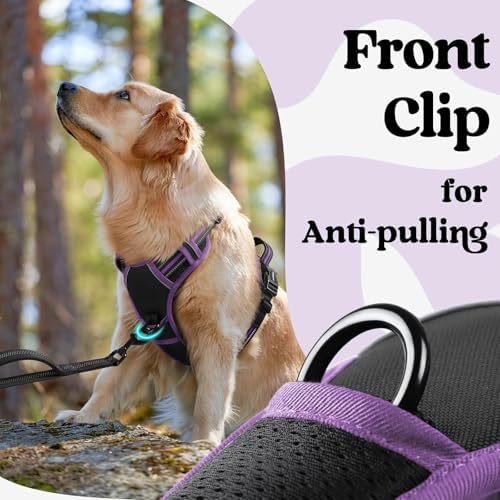 rabbitgoo Dog Harness for Large, Updated Easy On & Off - Image 6