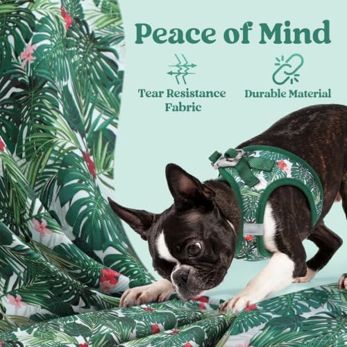 rabbitgoo Step-in Small Dog Harness, Puppy Vest - Image 5