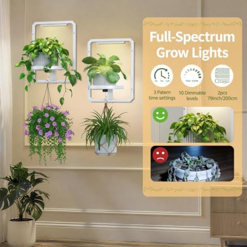 LASZOLA Plant Picture Frame Holder Shelf Wall - Image 3