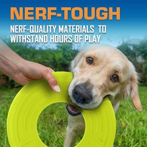 Nerf Dog Atomic Flyer Outdoor Dog Toy, 10 Inch Flying Disc Dog Fetch Toy - Image 4