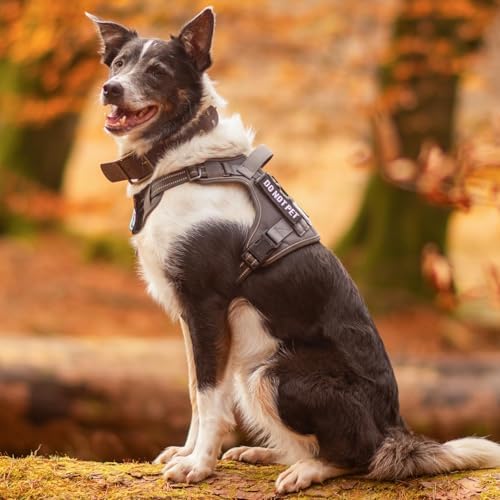 rabbitgoo Tactical Dog Harness for Small Dogs, No Pull Service Pet Vest - Image 2