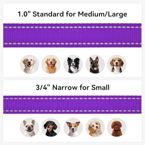 Joytale Reflective Dog Leash for Small Dogs, 4 FT x 3/4" - Image 6